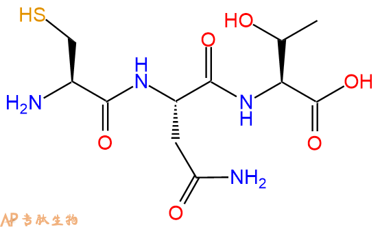 专肽生物产品三肽Cys-Asn-Thr