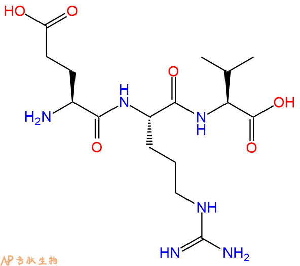 专肽生物产品三肽Glu-Arg-Val