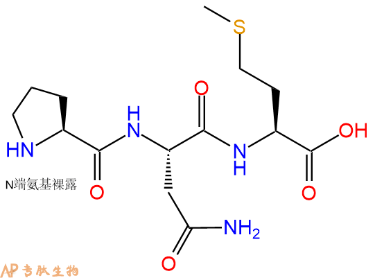 专肽生物产品三肽Pro-Asn-Met