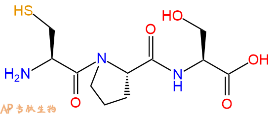 专肽生物产品三肽Cys-Pro-Ser