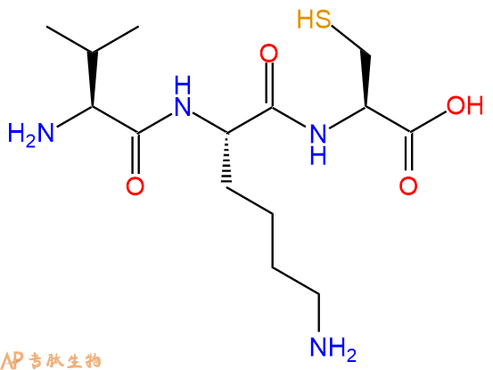 专肽生物产品三肽Val-Lys-Cys
