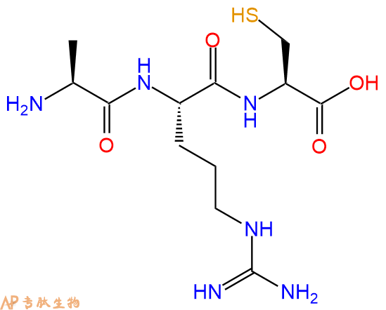 专肽生物产品三肽Ala-Arg-Cys