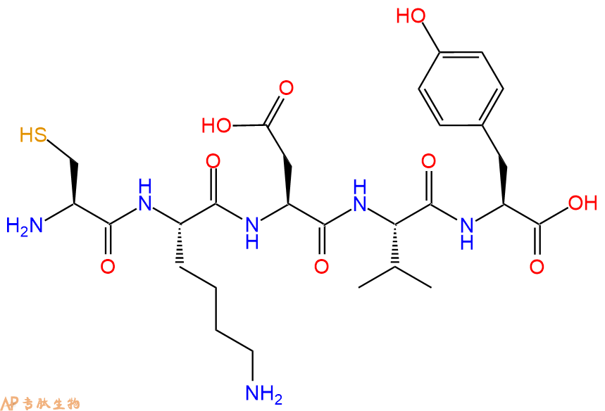 专肽生物产品五肽Cys-Lys-Asp-Val-Tyr1160588-43-1