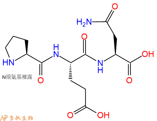 专肽生物产品三肽Pro-Glu-Asn