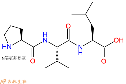 专肽生物产品三肽Pro-Ile-Leu