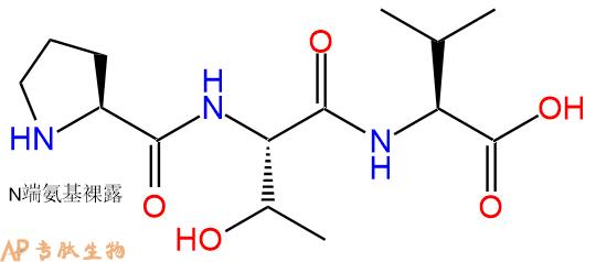 专肽生物产品三肽Pro-Thr-Val