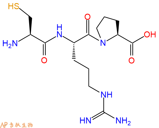 专肽生物产品三肽Cys-Arg-Pro