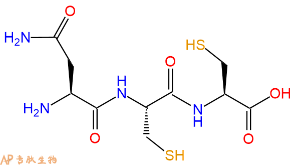 专肽生物产品三肽Asn-Cys-Cys