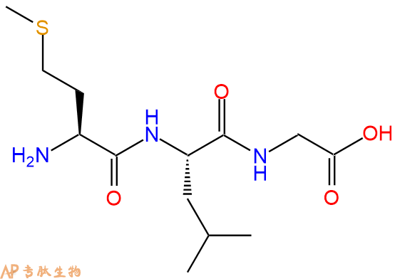 专肽生物产品三肽Met-Leu-Gly
