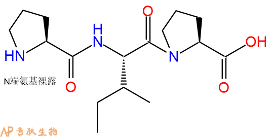 专肽生物产品三肽Pro-Ile-Pro