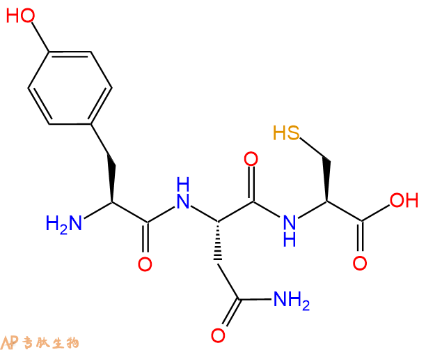 专肽生物产品三肽Tyr-Asn-Cys