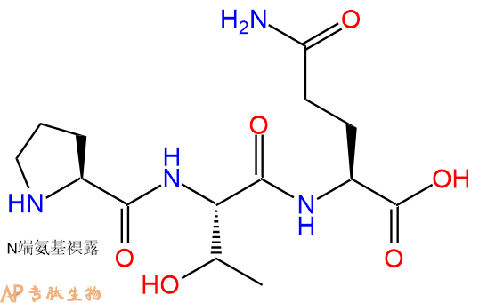 专肽生物产品三肽Pro-Thr-Gln