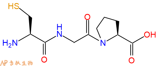 专肽生物产品三肽Cys-Gly-Pro