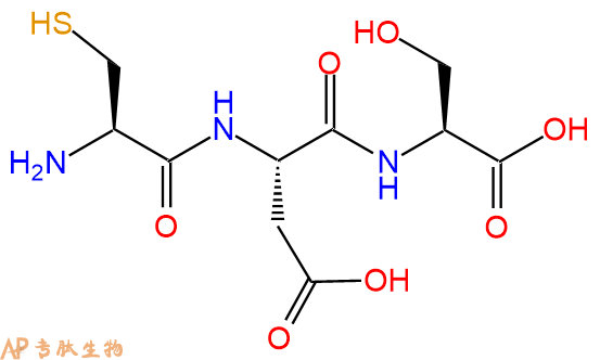 专肽生物产品三肽Cys-Asp-Ser