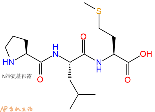 专肽生物产品三肽Pro-Leu-Met
