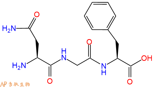 专肽生物产品三肽Asn-Gly-Phe
