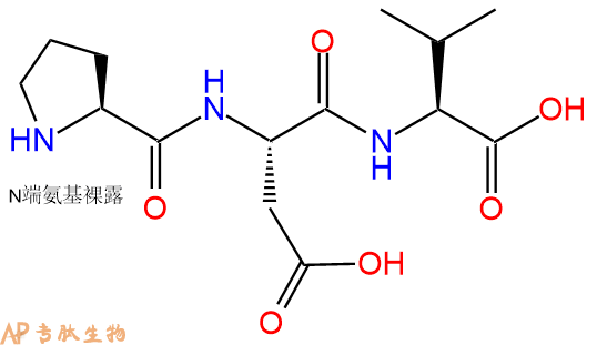 专肽生物产品三肽Pro-Asp-Val