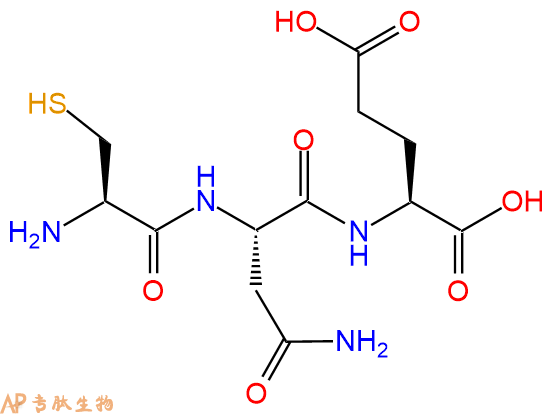 专肽生物产品三肽Cys-Asn-Glu
