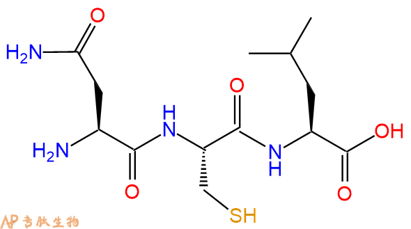 专肽生物产品三肽Asn-Cys-Leu