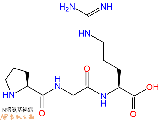 专肽生物产品三肽Pro-Gly-Arg