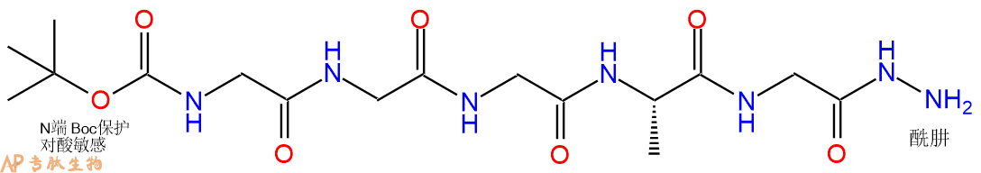 专肽生物产品五肽Boc-Gly-Gly-Gly-Ala-Gly-NH-NH262437-48-3