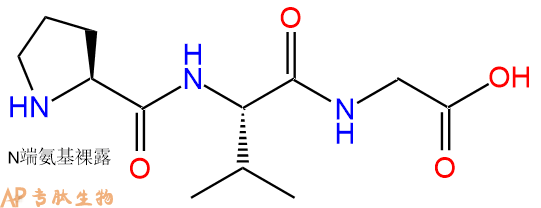 专肽生物产品三肽Pro-Val-Gly67341-70-2