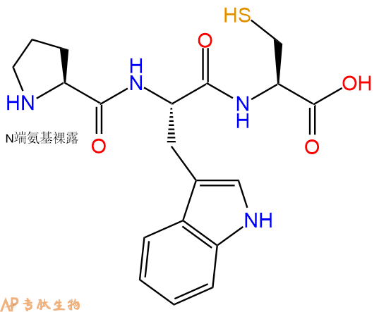 专肽生物产品三肽Pro-Trp-Cys