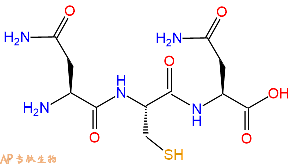 专肽生物产品三肽Asn-Cys-Asn