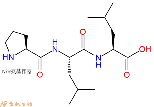 专肽生物产品三肽Pro-Leu-Leu