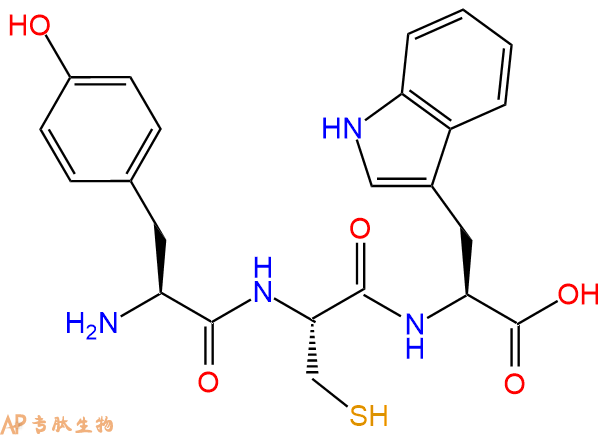 专肽生物产品三肽Tyr-Cys-Trp