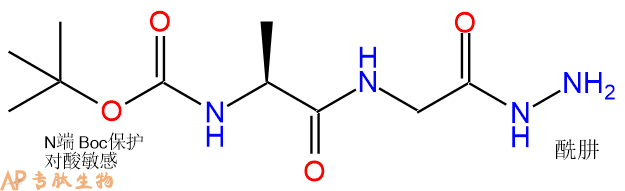 专肽生物产品二肽Boc-Ala-Gly-NH-NH2103584-88-9