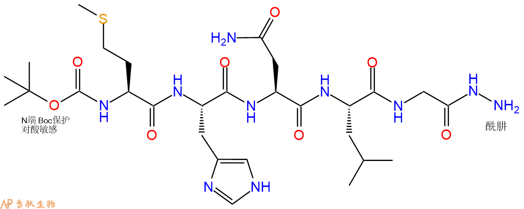 专肽生物产品五肽Boc-Met-His-Asn-Leu-Gly-NH-NH283069-74-3