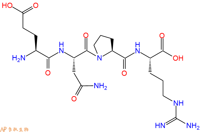 专肽生物产品四肽Glu-Asn-Pro-Arg1227942-49-5