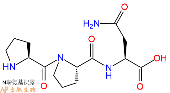 专肽生物产品三肽Pro-Pro-Asn