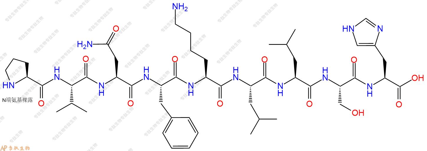 专肽生物产品Hemopressin (human, mouse)1314035-51-2/1431329-48-4