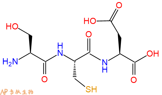 专肽生物产品三肽Ser-Cys-Asp