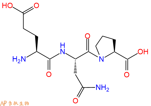 专肽生物产品三肽Glu-Asn-Pro