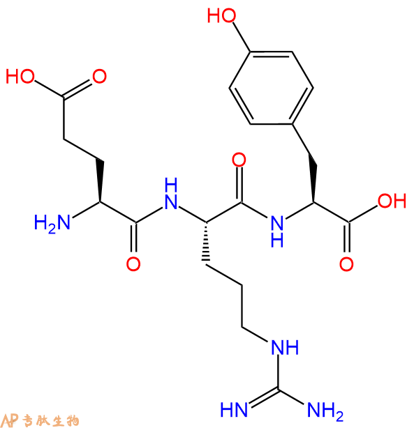 专肽生物产品三肽Glu-Arg-Tyr