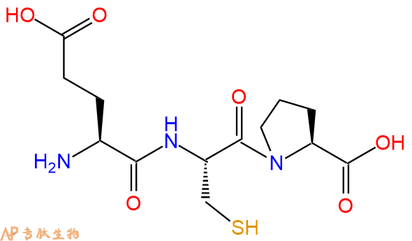 专肽生物产品三肽Glu-Cys-Pro