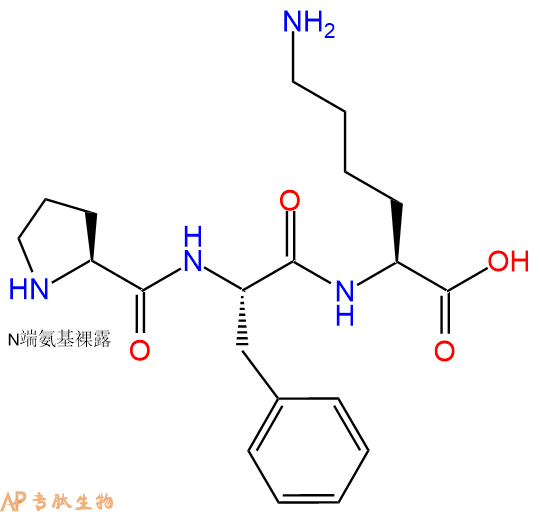 专肽生物产品三肽Pro-Phe-Lys40204-88-4
