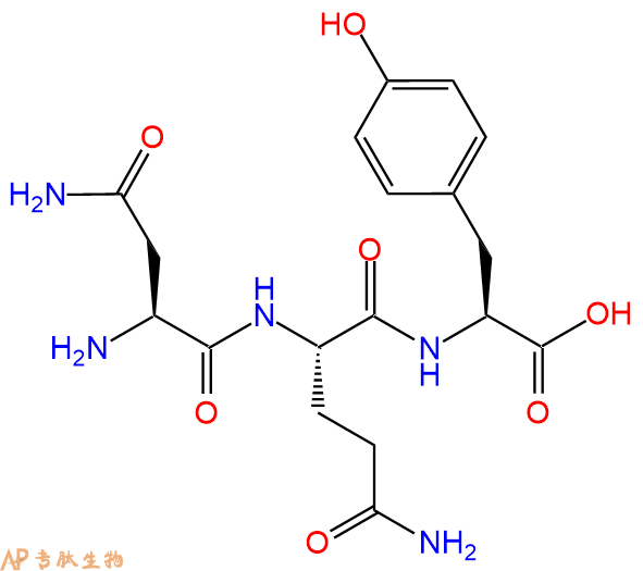 专肽生物产品三肽Asn-Gln-Tyr