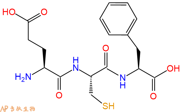 专肽生物产品三肽Glu-Cys-Phe