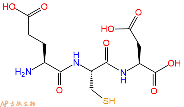 专肽生物产品三肽Glu-Cys-Asp
