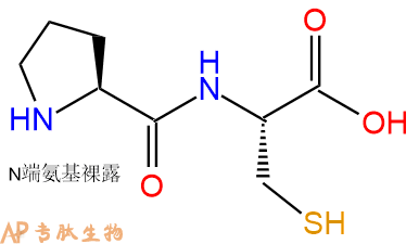 专肽生物产品二肽Pro-Cys