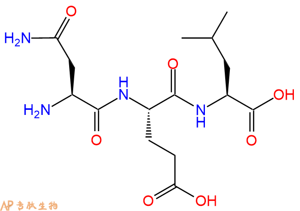 专肽生物产品三肽Asn-Glu-Leu