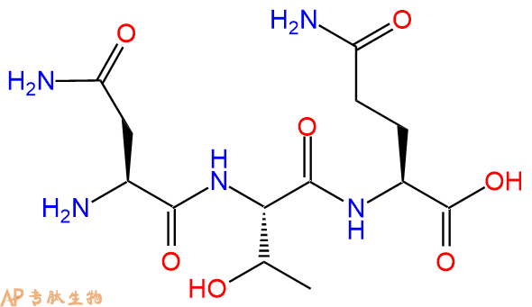 专肽生物产品三肽Asn-Thr-Gln