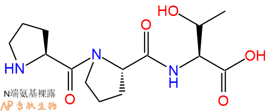 专肽生物产品三肽Pro-Pro-Thr
