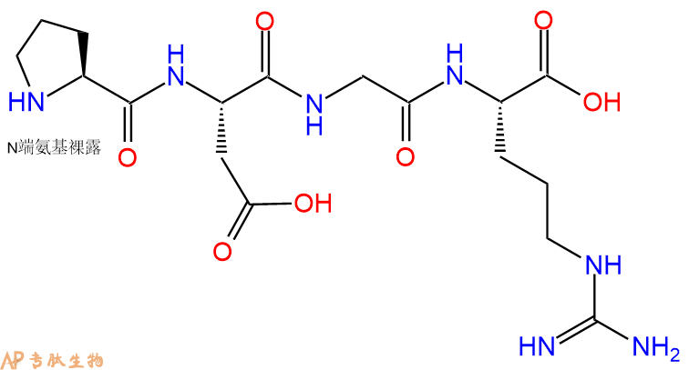 专肽生物产品四肽Pro-Asp-Gly-Arg137507-92-7
