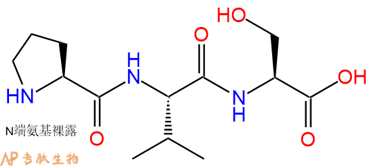 专肽生物产品三肽Pro-Val-Ser