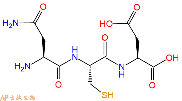 专肽生物产品三肽Asn-Cys-Asp